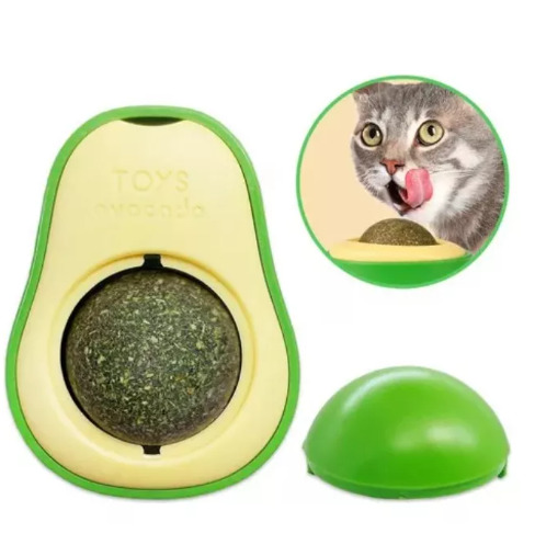 Palta con Hierba Gatera (Catnip) - Imagen 3