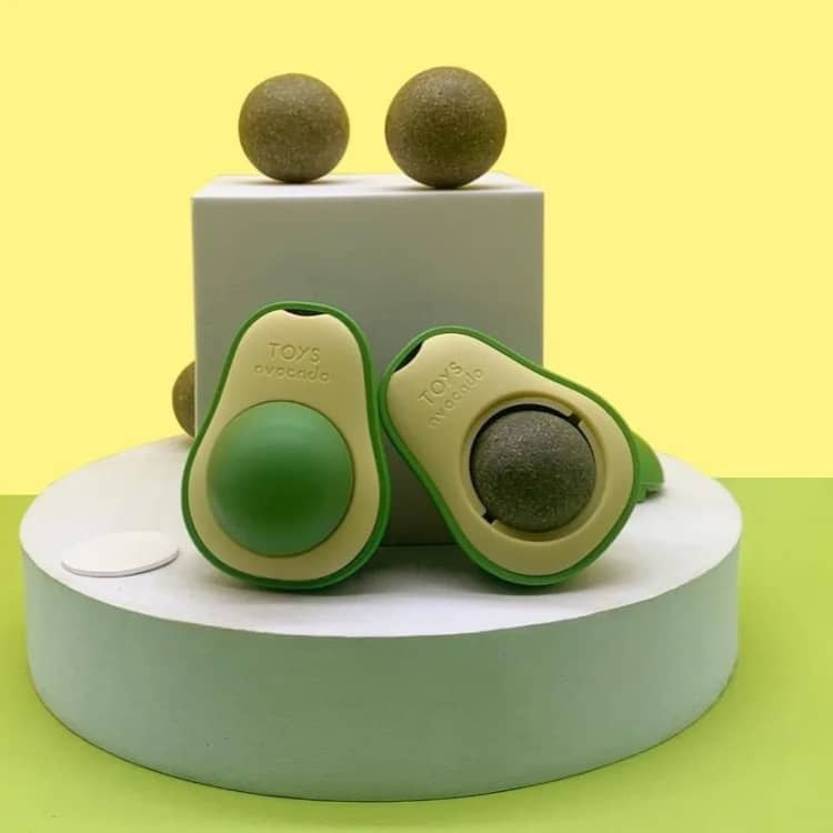 Palta con Hierba Gatera (Catnip) - Imagen 5