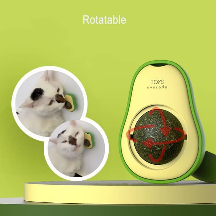 Palta con Hierba Gatera (Catnip) - Imagen 6
