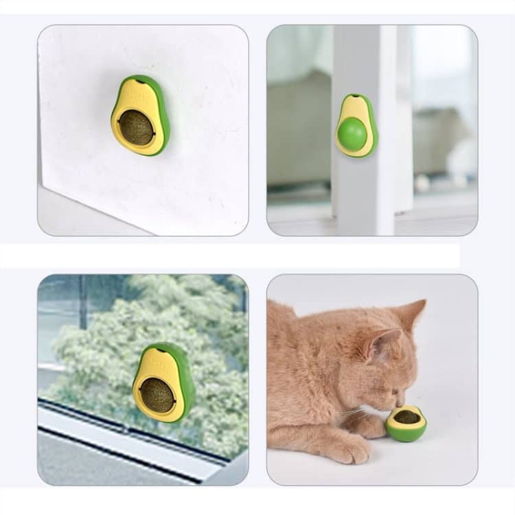 Palta con Hierba Gatera (Catnip) - Imagen 7
