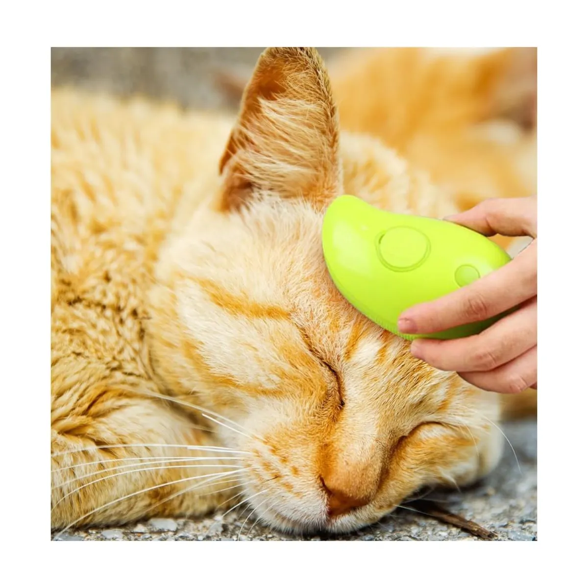 Cepillo de Vapor para Mascotas – Limpieza y Cuidado Profesional - Imagen 4
